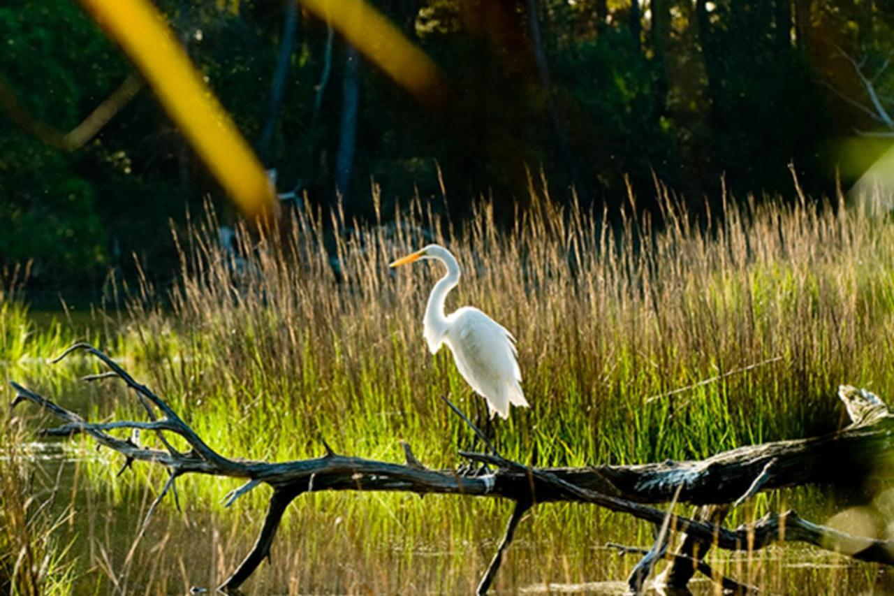 Tennis Club 4709 Kiawah Island Luaran gambar